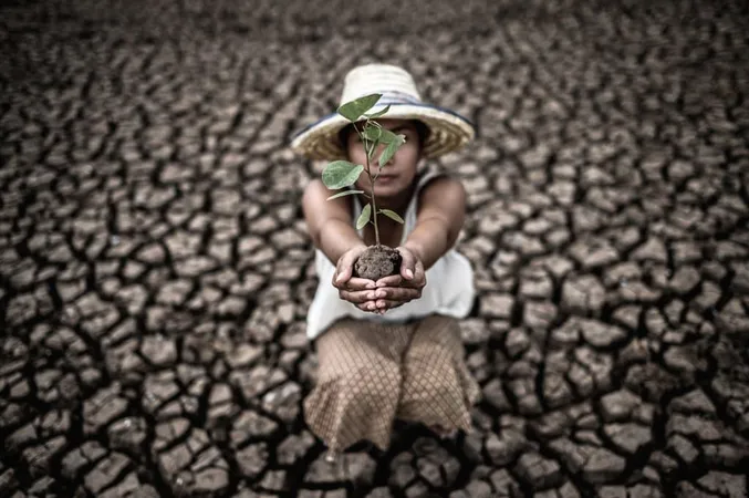 Women Are Sitting Holding Seedlings Are Dry Land Warming World X - Climate Change study guide