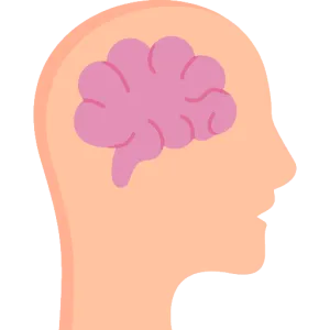 Neuroscience X - CNRN Practice Test study guide