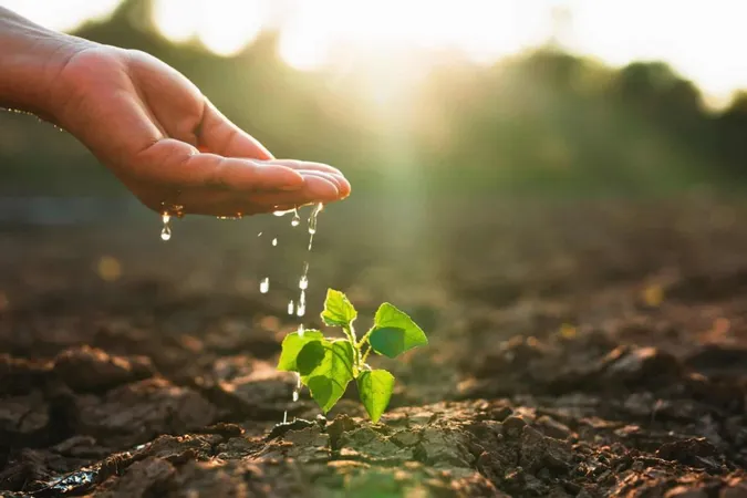 CPH (Certified Professional Horticulturist) Test: Study Guide - Certified Professional Horticulturist exam preparation