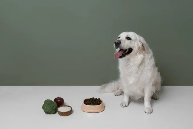 Beautiful Dog With Nutritious Food X - Clinical Pet Nutritionist study guide