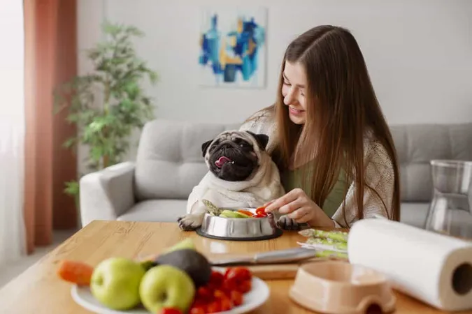 Close Up Dog Eating Healthy Food X - Clinical Pet Nutritionist study guide