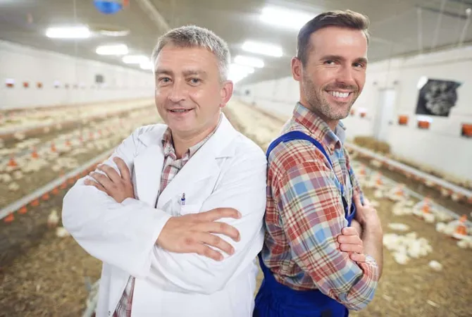 Young Farmer With Doctor Checking Health Animals X - Certified Poultry Technician study guide