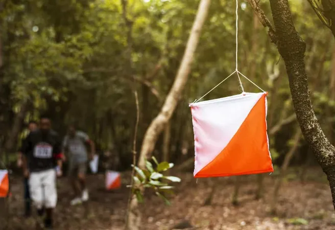 Outdoor Orienteering Check Point Activity X - Certified Wetland Delineator study guide