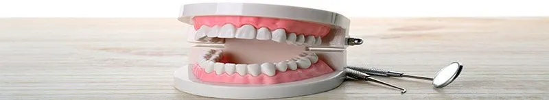 Doctor Of Dental Surgery Jobs - DDS Doctor of Dental Surgery study guide