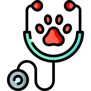 Stethoscope X - DVM Doctor of Veterinary Medicine study guide