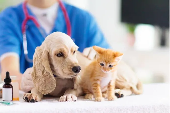 Untitled × Px 5 - DVM Doctor of Veterinary Medicine study guide