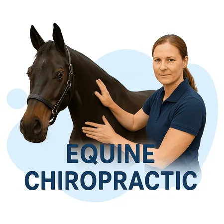 Chatgpt May 10 11 44 36 Pm - Equine Chiropractic Certification study guide