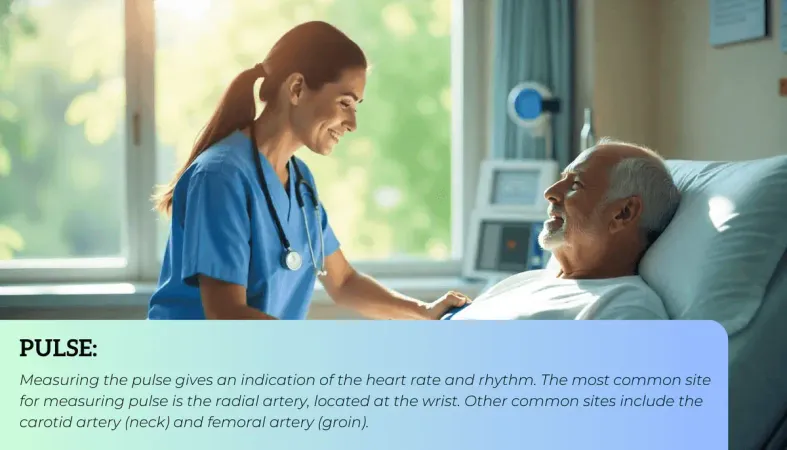 Expanded Function Dental Assistant Certification (EFDA) Exam Preparation Guide - Expanded Function Dental Assistant Certification exam preparation