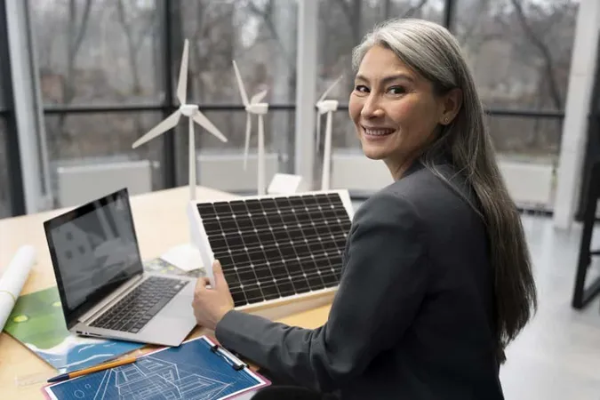 Business Person Planning Alternative Energies 3 X - Energy Management Professional study guide