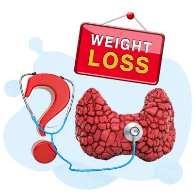 Endocrine System Weight Loss - Endocrine Weight Loss study guide
