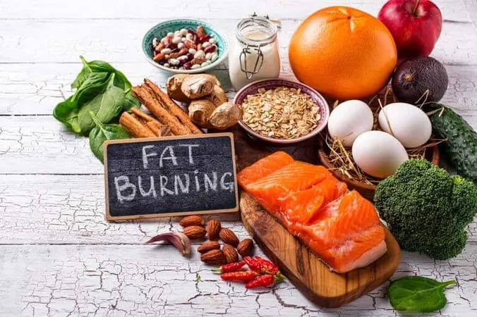 Best Way To Burn Belly Fat - Fat Burning study guide