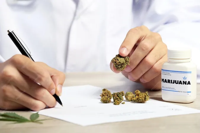 Doctor Hand Holding Dry Medical Cannabis Table Close Up - General study guide