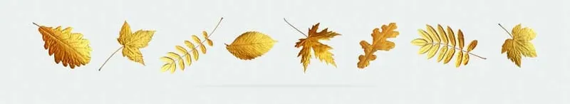 Gold Design - Gold design