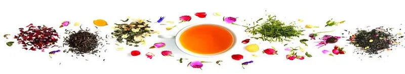 Herbalism - Herbalism