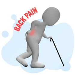 Back Pain 2026 July