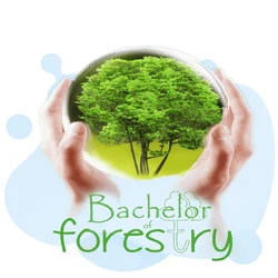 B.F. Bachelor of Forestry 2026 June