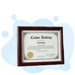 CAP (Certified Carbon Auditing Professional) Test Guide