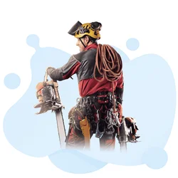 Certified Arborist Test Practice Test