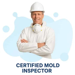 Certified Mold Inspector Exam Guide: Everything You Need to Know