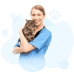 Certified Veterinary Assistant Practice Test