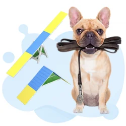 Dog Training Practice Test