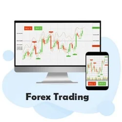 Forex Trading Strategies 2026 July