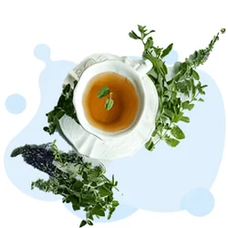 Herbalism 2026 July