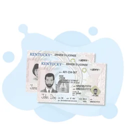Kentucky DMV Test: Your Guide to Success
