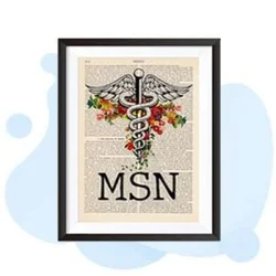 MSN Master Of Science In Nursing 2026 July
