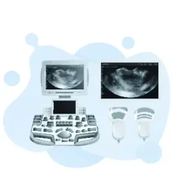 PU (Pregnancy Ultrasound Certification) Test: Your Guide