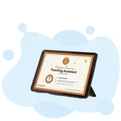 Everything You Need to Know About Becoming a Certified Teaching Assistant