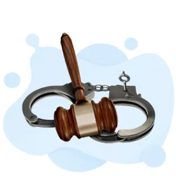Treasury Enforcement Agent Exam