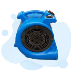Water Damage Restoration 2026 July