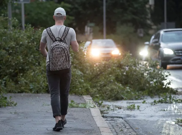 Road Hazards X - HPT (Hazard Perception Test) study guide