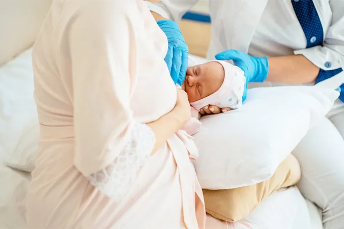 Free Ibclc Exam Questions - IBCLC Certification Exam study guide