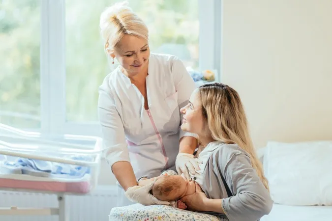 IBLCE Test: Your Guide to Certification Success - International Board of Lactation Consultant Examiners certification guide