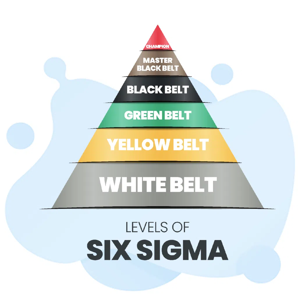 Lean Six Sigma Black Belt Certification