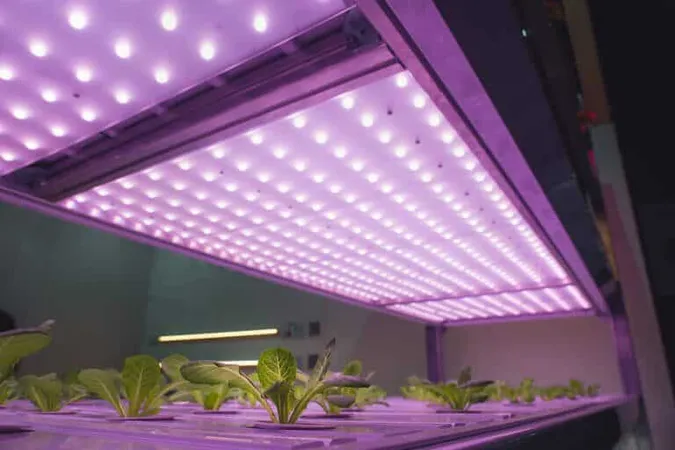Best Led Grow Light - Led Grow study guide