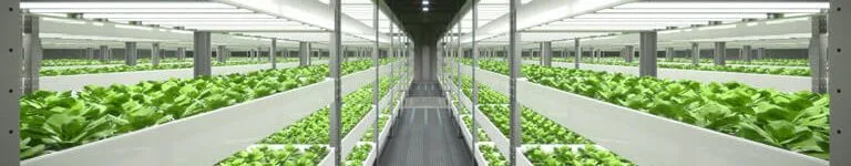 Led Grow Light Bar Pvbolwkrxld8t0xlp64z9hzerhlvuzooq5ek - Led Grow study guide