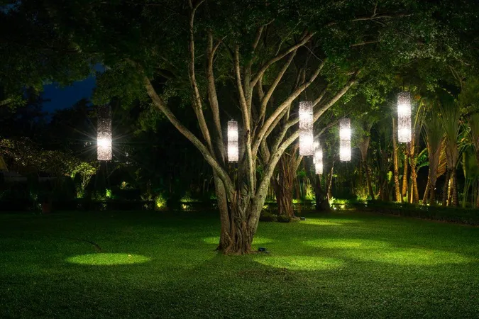 Tree With Lamp Lighting X - Landscape Lighting Certification study guide