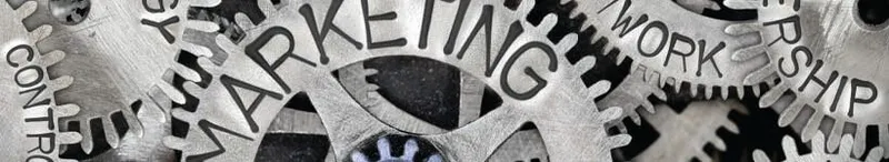 Free Marketing Advice - Marketing Advice study guide