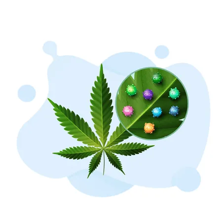 METRC Test: Your Guide to Cannabis Compliance Success - Marijuana Enforcement Tracking Reporting Compliance Certification preparation guide