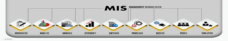 Mis Management Information Systems - Mis management information systems