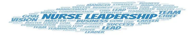 Adn To Msn Bridge Programs - MSN Master Of Science In Nursing Degree study guide