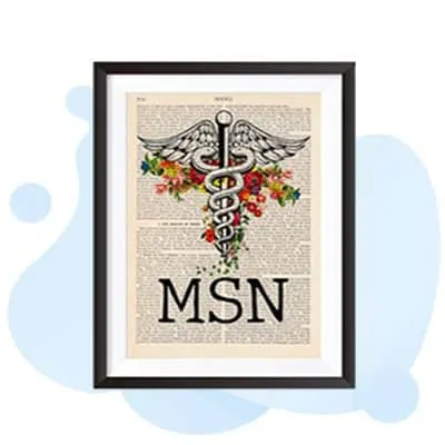 Msn Programs - MSN Master Of Science In Nursing Degree study guide