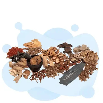 Acupuncture And Oriental Medicine - National Certification Commission for Acupuncture and Oriental Medicine study guide