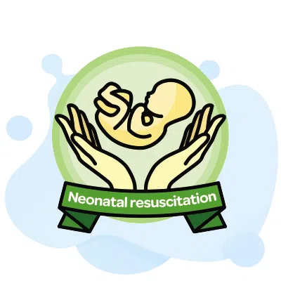 Neonatal Nurse Practitioner Exam