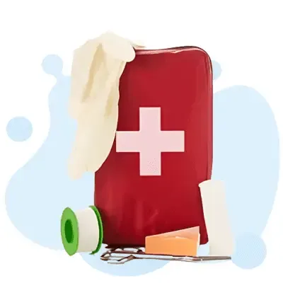 Emergency Medical Services - Primary Care Paramedic study guide