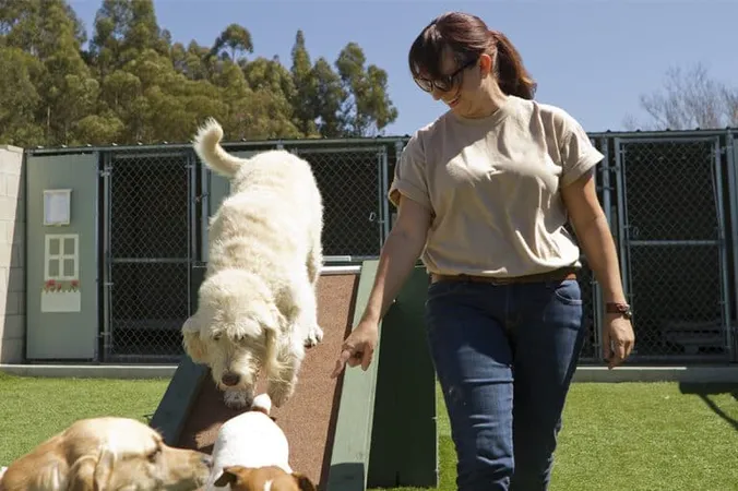 Professional Pet Boarding And Grooming - Professional Pet Boarding Certification study guide