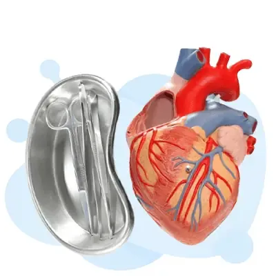 Cardiovascular Interventions - Registered Cardiovascular Invasive Specialist study guide